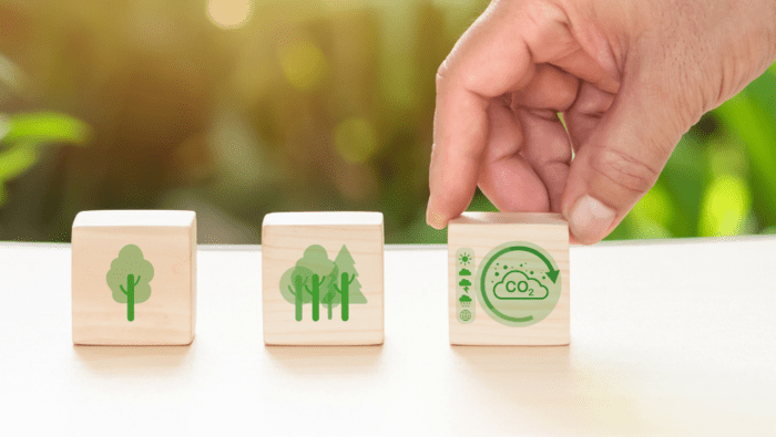 image de l'article Santé environnementale : un bébé pour tout changer !